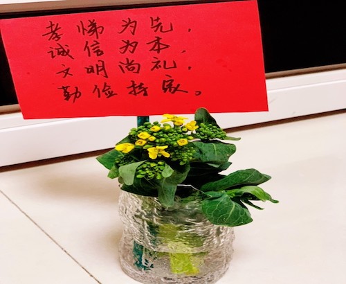 孝悌为先，诚信为本